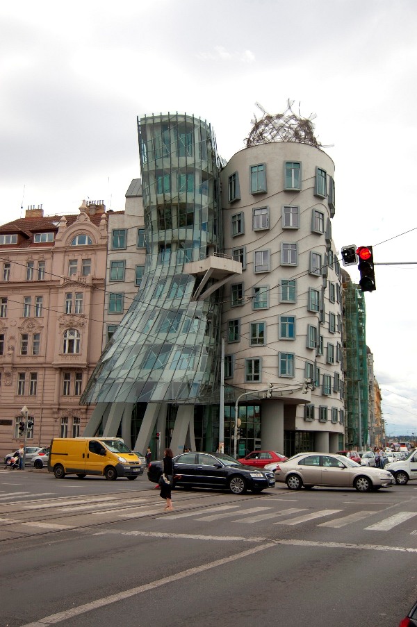 DSC_0463 - Guilherme Schneider