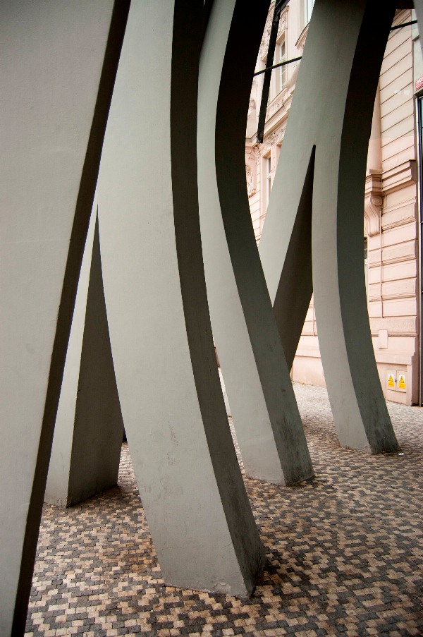 DSC_0467 - Guilherme Schneider